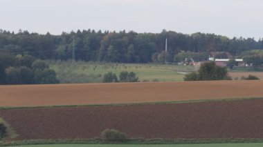 Yeşil çimenli ve mavi gökyüzü olan ağaçların manzarası