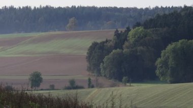 Ağaçlı bir sonbahar tarlası