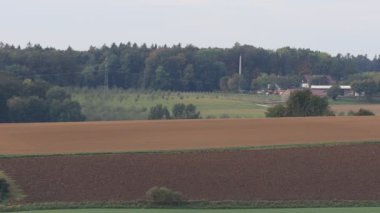 Bir sonbahar günü geniş bir tarlanın manzarası