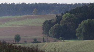 Ağaçlar ve ormanlarla dolu güzel bir manzara.