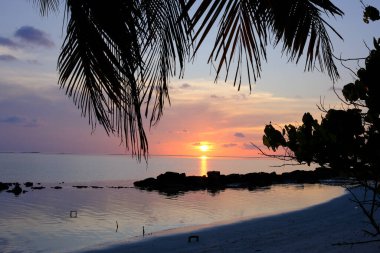 The untouched beauty of Mathiveri, a local island in the Maldives renowned Air Atoll. These photos showcase the serene lifestyle, vibrant culture, and natural wonders of this tropical paradise.  clipart