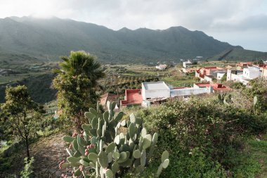 Tenerife 'deki görkemli bir köy, yemyeşil, yüksek dağlarla çevrili, bulutlu bir gökyüzü altında hareketli kaktüsler..