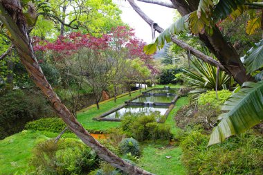 Güzel bir botanik bahçesi, yemyeşil, küçük göller ve canlı bitkilerle, Portekiz, Azores 'de barışçıl ve egzotik bir atmosfer yaratıyor..