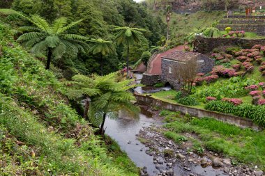 Taştan bir evi, küçük bir deresi, yemyeşil tropikal bitkileri ve canlı çiçekleri olan pitoresk bir vadi huzurlu ve uyumlu bir doğal geri çekilme yaratıyor..