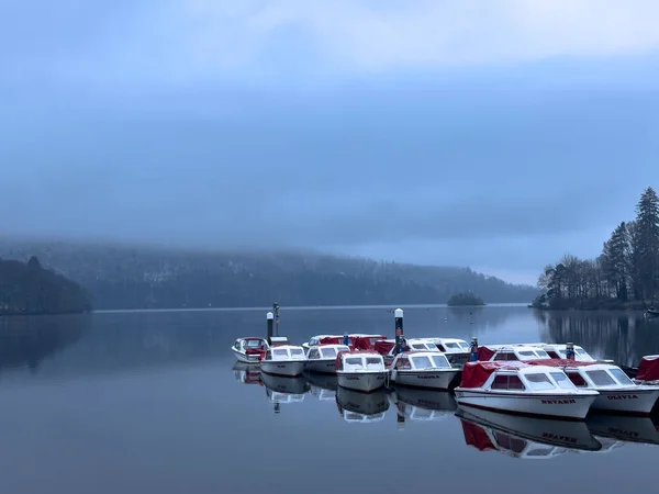 Windermere Gölü, İngiltere 'de Lake District. Karlı kış. Kuşlarla, teknelerle ve kuğularla sakin sular.
