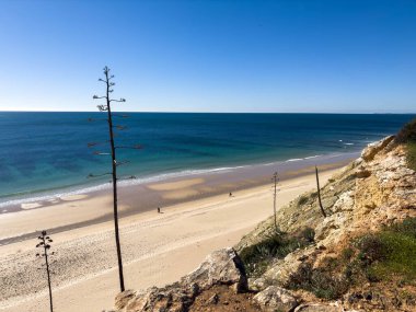 Ponta da Piedade, Algarve bölgesi, Portekiz 'deki Lagos yakınlarında güzel kumlu bir sahil.
