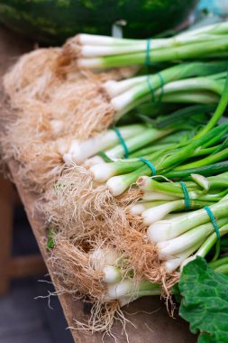 Çiftçi pazarında taze yeşil soğan, soğan ya da soğan yığını. Kapatın.