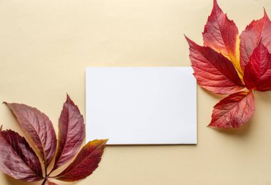 Bu resim, kırmızı ve sarı tonlarında canlı sonbahar yapraklarıyla sınırlandırılmış bej bir zemin üzerine yerleştirilmiş boş bir beyaz kartı içerir. Minimalist tasarım ve sıcak, doğal renkler..