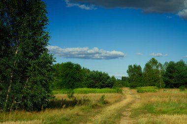 Ağaçlarla, mavi gökyüzüyle ve yaz mevsiminde hiç bitmeyen patikasıyla manzara