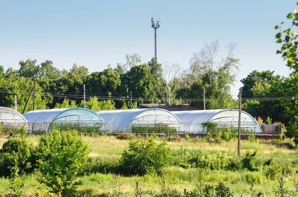 Белые Арочные Теплицы Выращивания Овощей Салатов Фоне Голубого Неба Антенны — стоковое фото