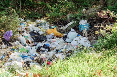 Doğanın eğlence şehrinde yetkisiz çöp yığını. İnsan barbarlığı doğaya zarar verir.