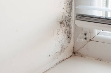 Pencere yamacında siyah küf, yoğunlaşmış plastik pencere. Kışın duvar donması sorunu..