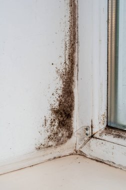 Pencere yamacında siyah küf, yoğunlaşmış plastik pencere. Kışın duvar donması sorunu..
