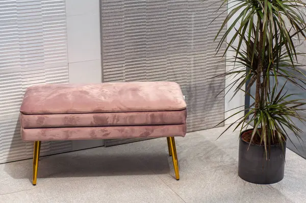 stock image Modern pink bench with golden legs and a potted plant in a stylish, minimalistic room.