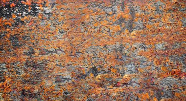 Paslı metal bir yüzey deseni, kabuğu soyulmuş ve turuncu tonlarda paslanmış katmanlar..