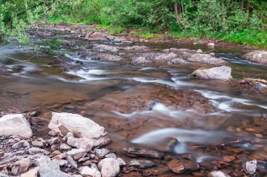 Yeşil bir ormandaki kayaların üzerinden huzurlu bir akarsu akar ve huzur verici bir manzara yaratır..