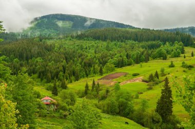 Puslu bir dağ manzarası, yemyeşil ormanlar, çayırlar ve rahat bir kulübe..