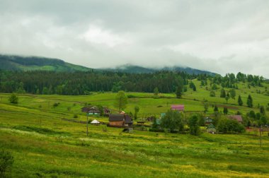 Bulutlu bir günde Ukrayna 'nın yeşil tepelerinde yuva yapmış küçük bir köyün manzarası..