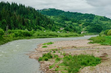 Karpat Dağları 'ndaki yemyeşil bir arazide akan bir nehrin manzarası bulutlu bir günde.