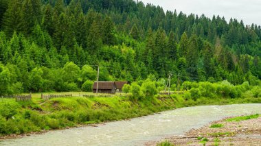 Ukrayna Karpatları 'nda sık ve yeşil bir ormanın arka planına karşı akan bir nehrin kıyısında, büyüleyici bir köy kulübesi bulunur..