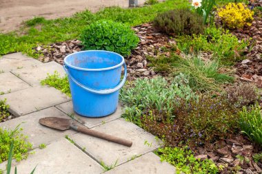 Parlak mavi bir kova ve bir kürek güzel bir bahçenin yanında, yemyeşil bitkiler ve çiçekler sergileniyor..