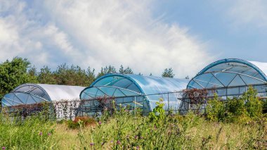 Bir yaz günü mavi gökyüzüne karşı otlar ve çalılarla kaplanmış çoklu tüneller dışarıdan görülür..
