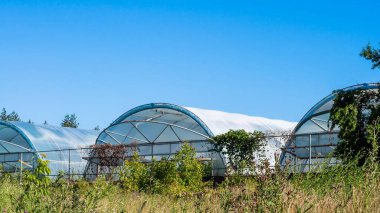 Açık mavi gökyüzüne karşı sıralanmış üç sera kırsal alanda umut verici bir büyüme ve tarımsal yenilik vaat ediyor..