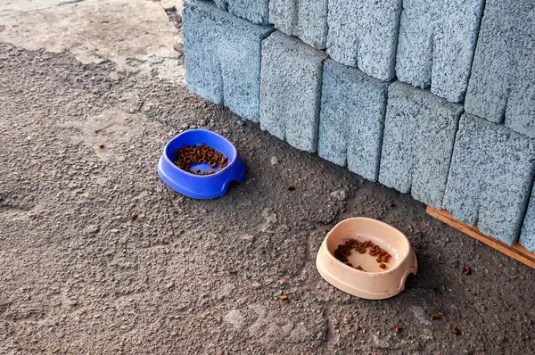 Köpükle dolu iki evcil hayvan kasesi bir yığın inşaat bloğunun yanında oturur ve açık hava beslenmesini ima eder..