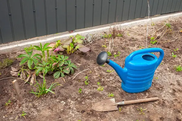 Mavi bir sulama tenekesi ve bir mala bahçedeki bitkilerin yanında, arka planda metal bir çit olan yerde dinleniyor..