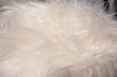 Hassas doku ve desenleri gösteren yumuşak, beyaz kürkün yakın çekimi. Bu resim sıcak ve davetkar bir estetik sunuyor, çeşitli tasarım uygulamaları için mükemmel..