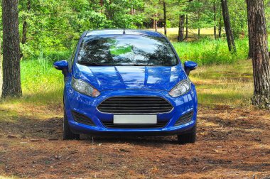 Parlak mavi bir araba yemyeşil orman ortamında park etmiş, sakin bir açık hava anını yakalıyor. Araba doğaya karşı duruyor..