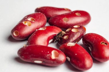 Böceklerin ya da kötü depolama koşullarının yol açtığı hasarlı fasulyelerin yakın çekim görüntüleri..