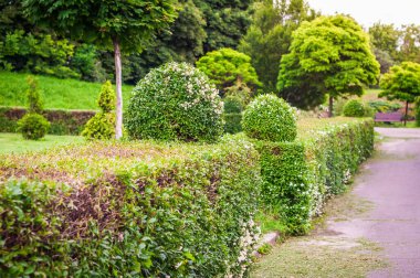 Asfaltlı patika boyunca çeşitli çalılar ve ağaçlarla süslenmiş düzgün bir park. Sahne bereketli ve davetkar..