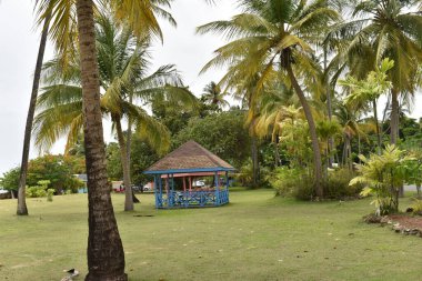 Güvercin Noktası, Tobago - 12 Temmuz 2022 Pigeon Point Miras Parkı 'ndaki Güvercin Noktası Sahili Sahili Kulübeleri. Bu kulübeler sahil sakinleri ve turistler için çok ucuza kiralandı..