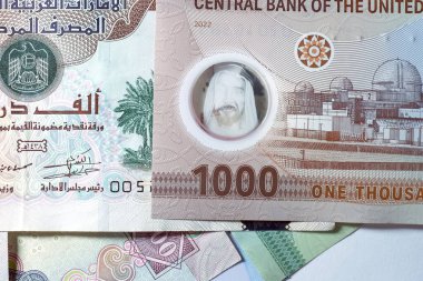 Dirhams para birimini, AED 'i, banknotları ve paraları kapatın, Birleşik Arap Emirlikleri