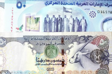 Dirhams para birimini, AED 'i, banknotları ve paraları kapatın, Birleşik Arap Emirlikleri