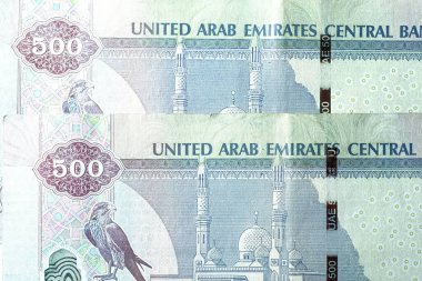 Dirhams para birimini, AED 'i, banknotları ve paraları kapatın, Birleşik Arap Emirlikleri