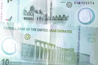 Dirhams para birimini, AED 'i, banknotları ve paraları kapatın, Birleşik Arap Emirlikleri