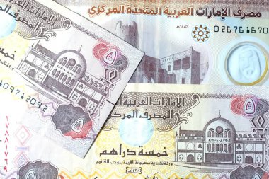 Dirhams para birimini, AED 'i, banknotları ve paraları kapatın, Birleşik Arap Emirlikleri