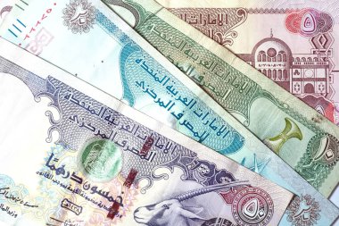 Dirhams para birimini, AED 'i, banknotları ve paraları kapatın, Birleşik Arap Emirlikleri