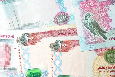 Dirhams para birimini, AED 'i, banknotları ve paraları kapatın, Birleşik Arap Emirlikleri