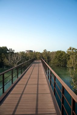 Abu Dabi, Birleşik Arap Emirlikleri Mart 02: 25 Jubail Mangrove Parkları ilk kendine ait eğitim ve tatil yeri.