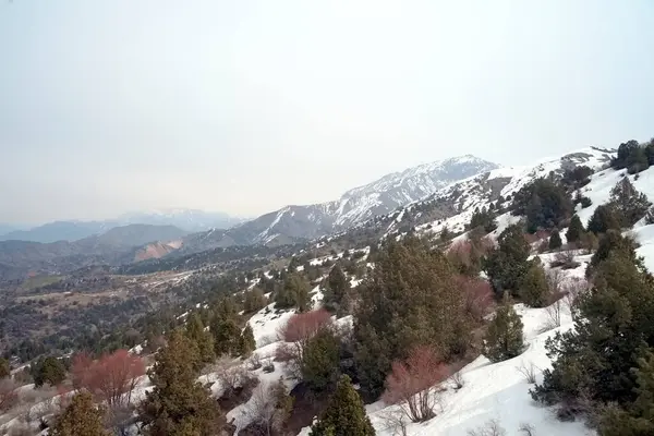 Amirsoy Resort Özbekistan 22 Mart 2025 'te Amirsoy tatil beldesi çevresinde