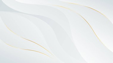Soyut beyaz-gri, altın çizgileri olan lüks bir arka plan. Zarif gradyan modern duvar kağıtları. Şablonlar, afişler, satışlar, reklamlar, etkinlikler, ödüller, web ve sayfalar için uygundur