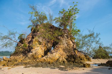 Koh Phayam 'da güzel bir ada.