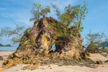 Koh Phayam 'da güzel bir ada.