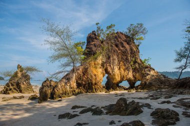 Koh Phayam 'da güzel bir ada.