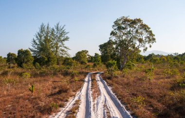  Phra Tanga Adası 'ndaki Savanna otlağı