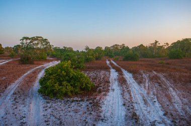  Phra Tanga Adası 'ndaki Savanna otlağı