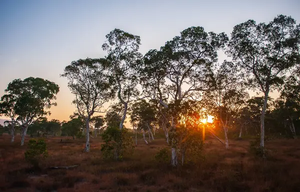 stock image  Savanna grassland on Phra Thong Island